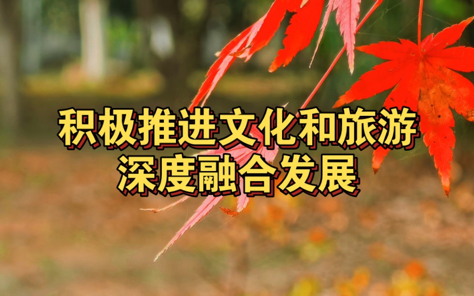 学习规划建议每日问答丨如何理解推进文化和科技融合