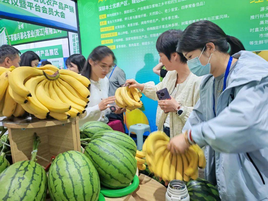 冠豪高新：2025年预亏1.55亿至3.1亿元 产线优化保障经营稳定