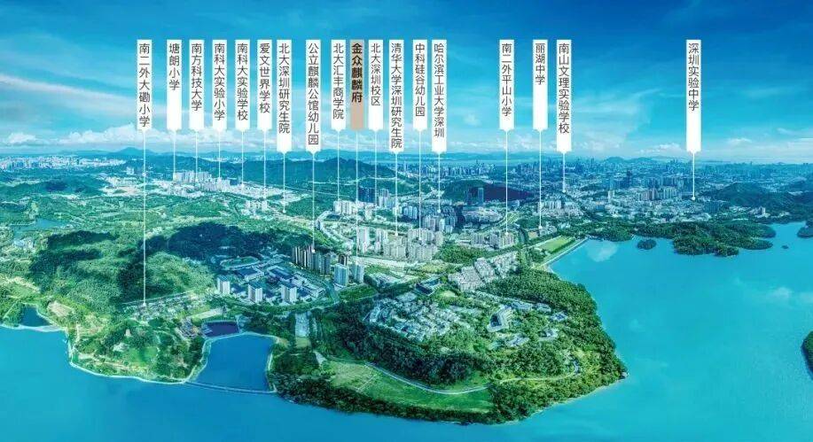 当东方枢纽迎来全球资本 上海用“要素生态”构筑投资新逻辑