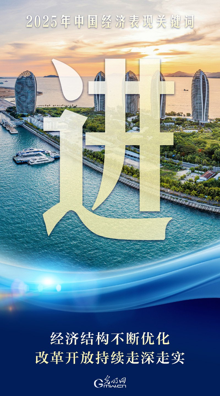 新华视点丨提质效 促振兴 以实干实效绘就发展新图景