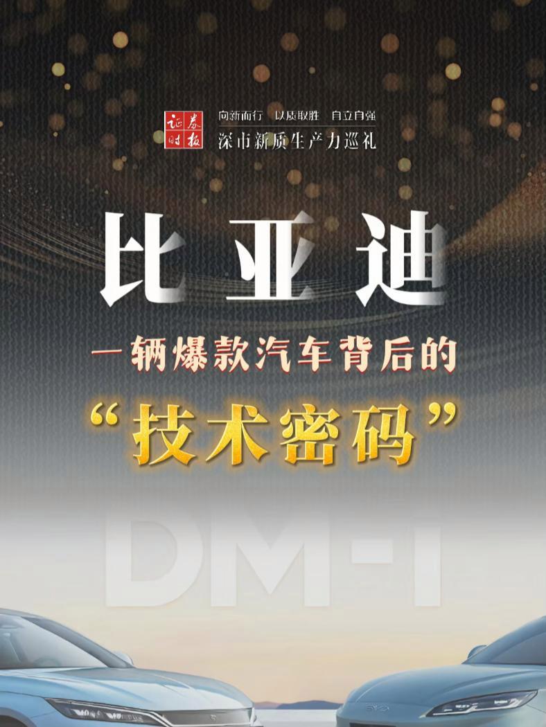 深市公司三季报稳中向好 新质生产力相关企业表现亮眼