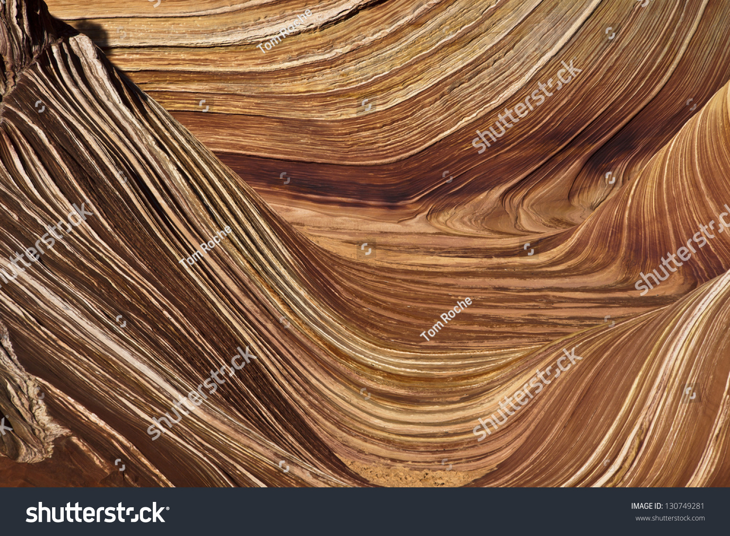 Pattern�嗵傺翘�区分公司荣获天猫国际最高荣誉：年度药线金星服务商